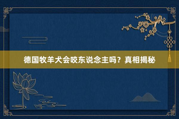 德国牧羊犬会咬东说念主吗？真相揭秘