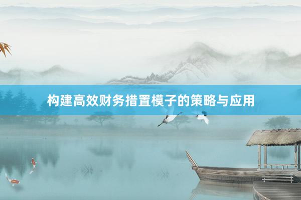 构建高效财务措置模子的策略与应用